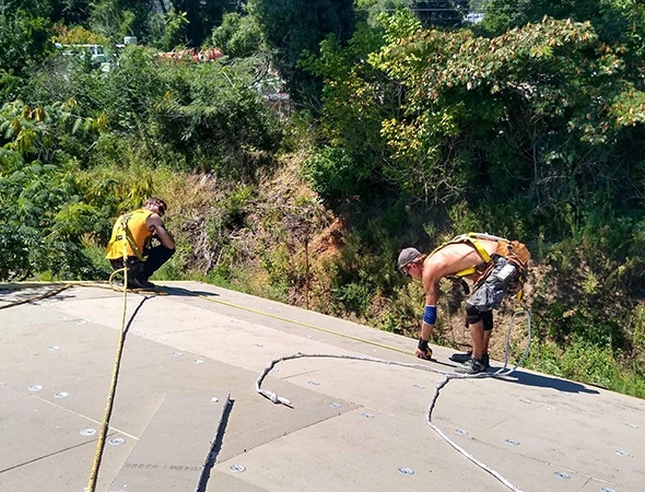Roof repair experts fixing damaged shingles on a local home
